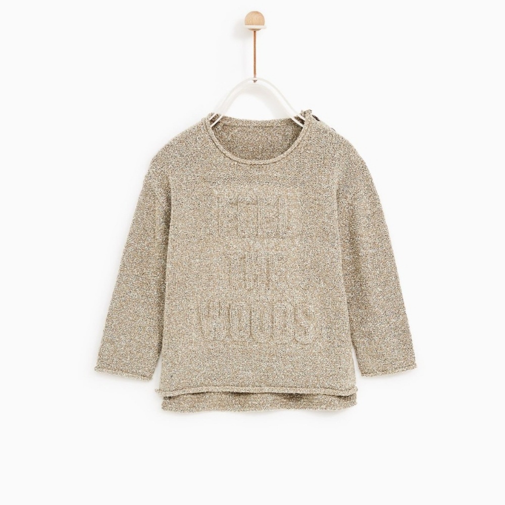 NWT Zara Toddler Sweater